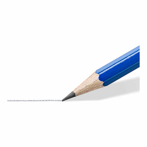 قلم رصاص من ستيدلر نوريكا برأس ممحاة HB 12 عبوة