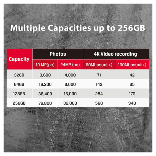Kingston 256GB SDXC Canvas React Plus: Memory Card for Professional Cinema Cameras