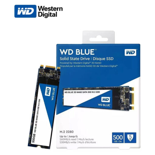 WD Blue SA510 M.2 500 جيجابايت: SATA III SSD | ما يصل إلى 560 ميجابايت/ثانية