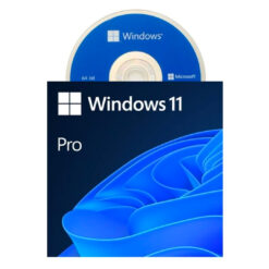 Microsoft Windows 11 Professional 64 Bit OEM DVD