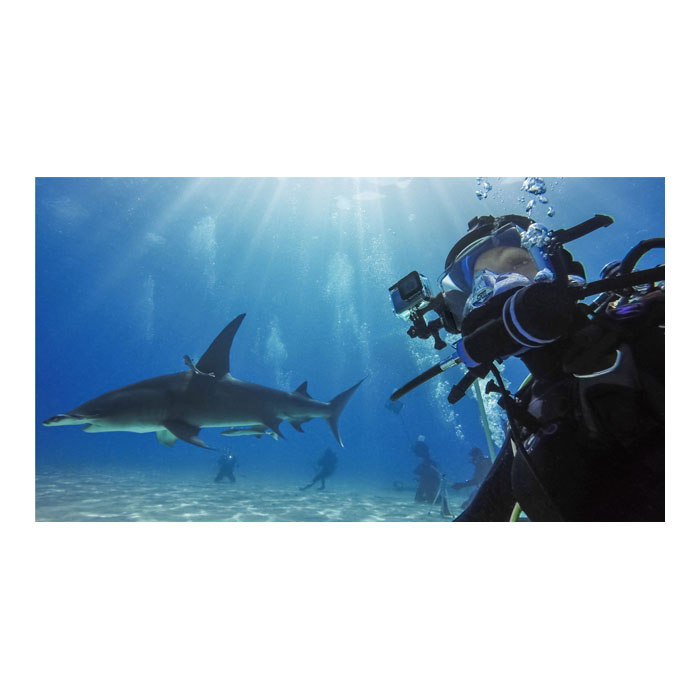 Underwater Housing Case for GoPro Hero 9/10/11/12 Black, 60m Price in Jordan Underwater Housing Case for GoPro Hero 9/10/11/12 Black, 60m - Buy Online in Jordan | OfficeJo